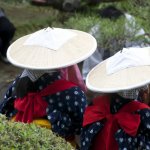 Shukkei-en Garden Ritual Rice Planting - 14
