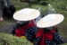 Shukkei-en Garden Ritual Rice Planting - 14