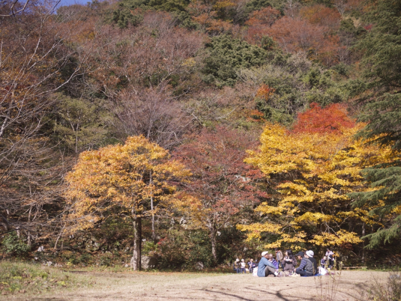 Sandankyo in Autumn - 10 of 15