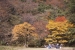 Sandankyo in Autumn - 10 of 15