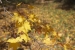 Sandankyo in Autumn - 11 of 15