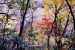 Sandankyo in Autumn - 14 of 15