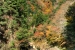 Sandankyo in Autumn - 5 of 15
