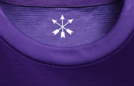sanfrecce hiroshima 2013 uniform - home