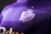 sanfrecce hiroshima 2013 uniform - home