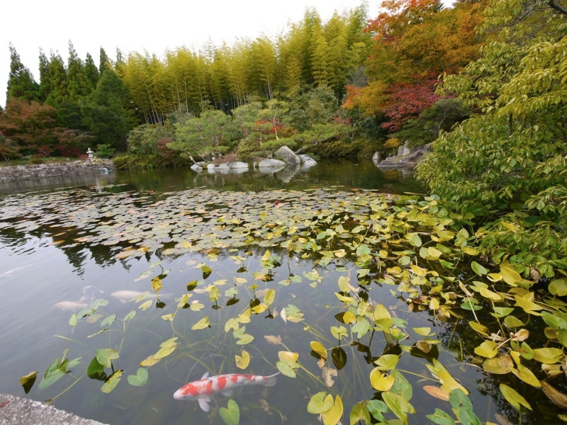 sankeien-garden-18