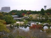 sankeien-garden-17