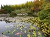 sankeien-garden-18