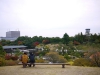 sankeien-garden-20