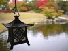 sankeien-garden-24