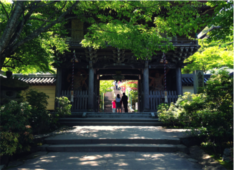 Entrance Gate