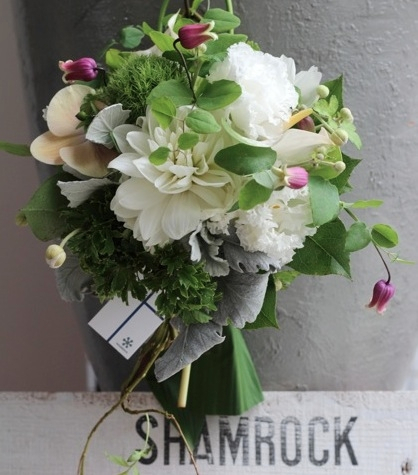shamrck