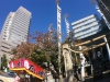 shirakami-jinja-shrine-02