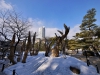 shukkeien-after-a-dusting-of-snow-13
