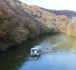 Boat tour