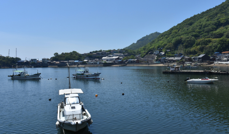 Fishing Boats in the Harbor