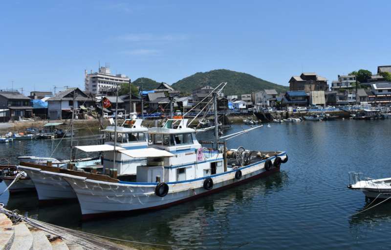 Harbor Boats