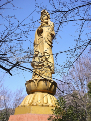 Golden Kannon