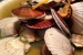 Scallops in shells
