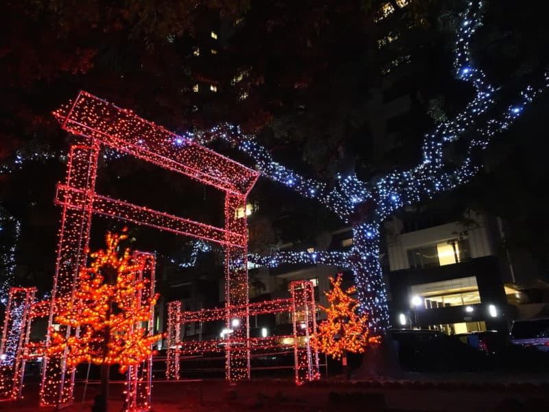 Miyajima's great torii gate renderred in LEDs as part of Hiroshima's Dreamination winter illuminations
