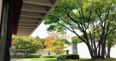 Hiroshima Museum ofArt - Leafy grounds