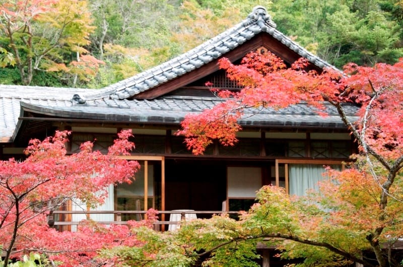 momoiji-dani autumn leaves