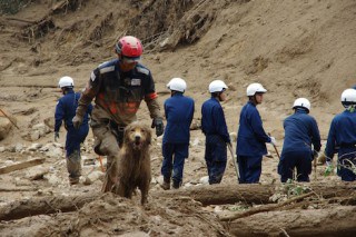 Peace Winds Japan Dog Team In Action | Get Hiroshima