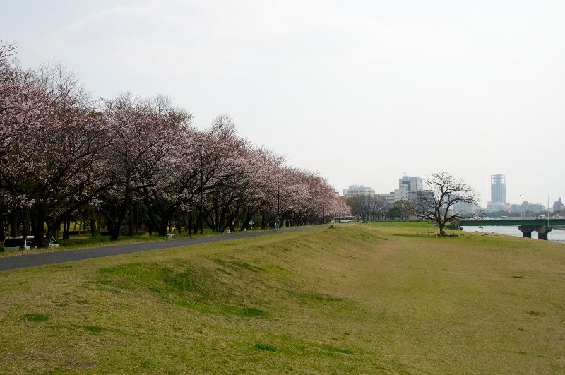 Chuo-koen Central Park and Motomachi POP’La Dori