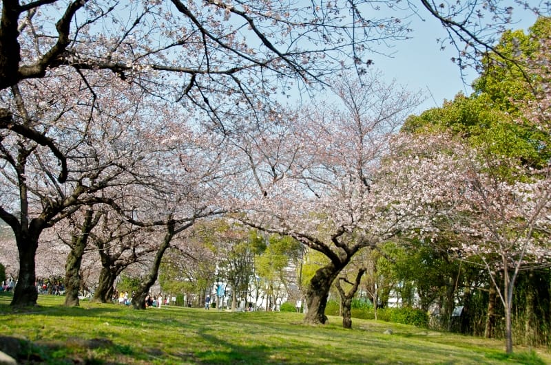 Hakushima Kukencho Park