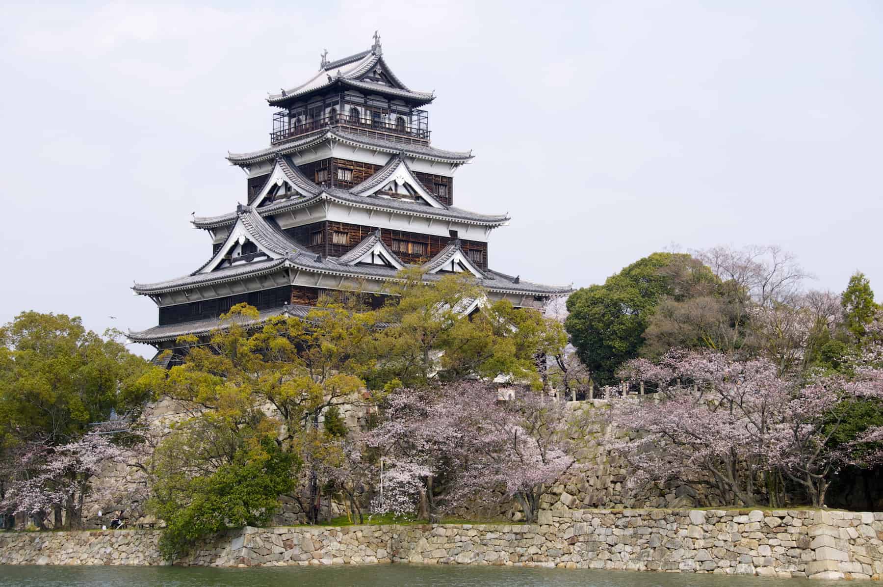 Hiroshima Castle Cherry Blossom