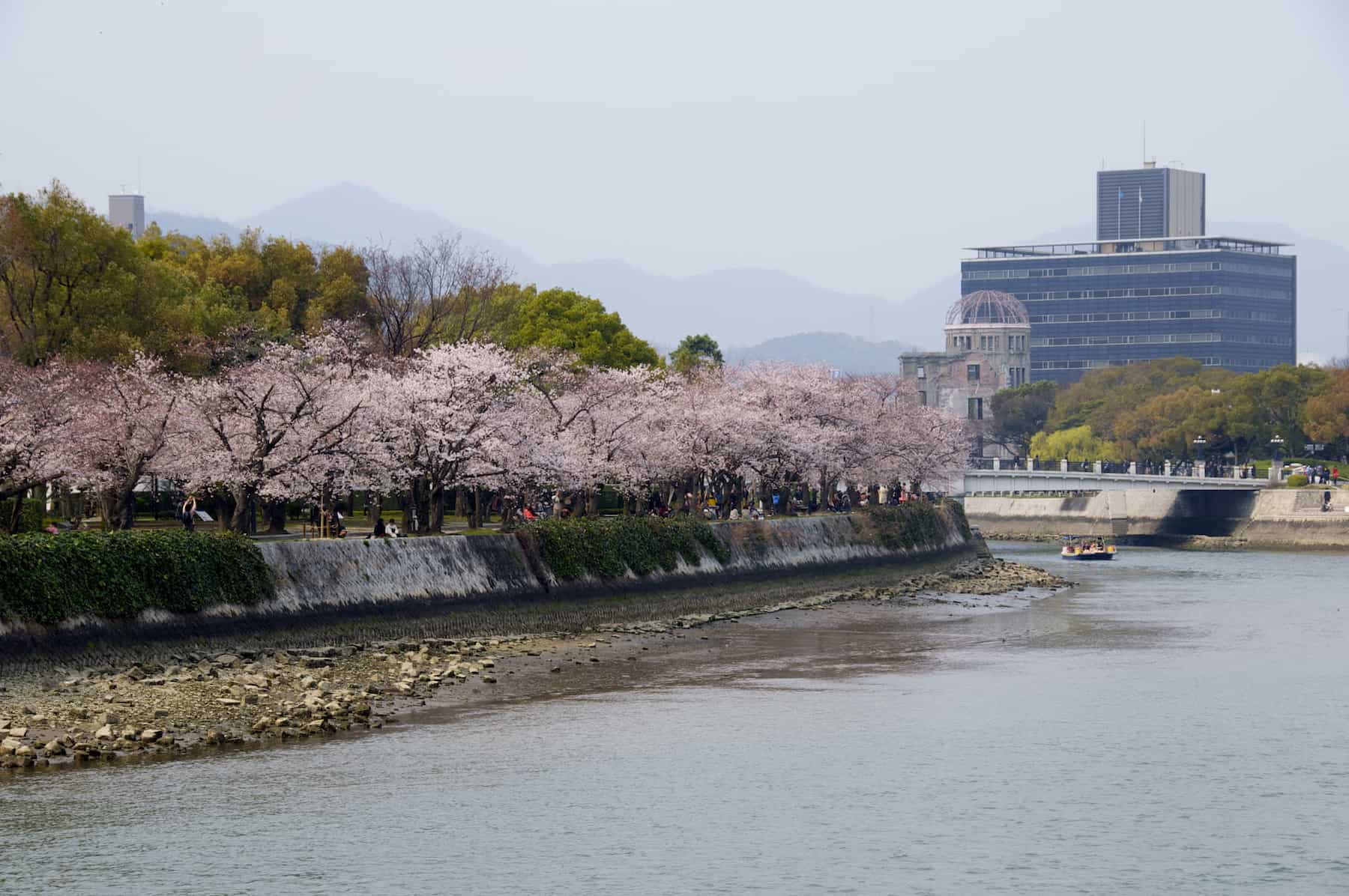 Hiroshima Peace Memorial Park Cherry Blossom