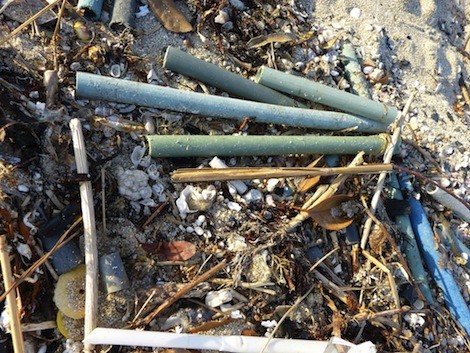 Plastic gomi trash at Bayside Beach Saka