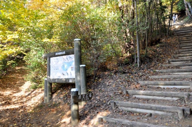 (31) Wooden steps to the summit
