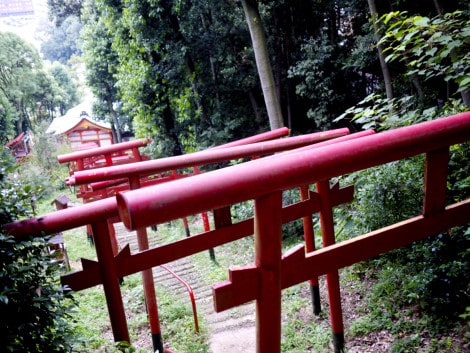 Kinkō Inari Shrine - 14