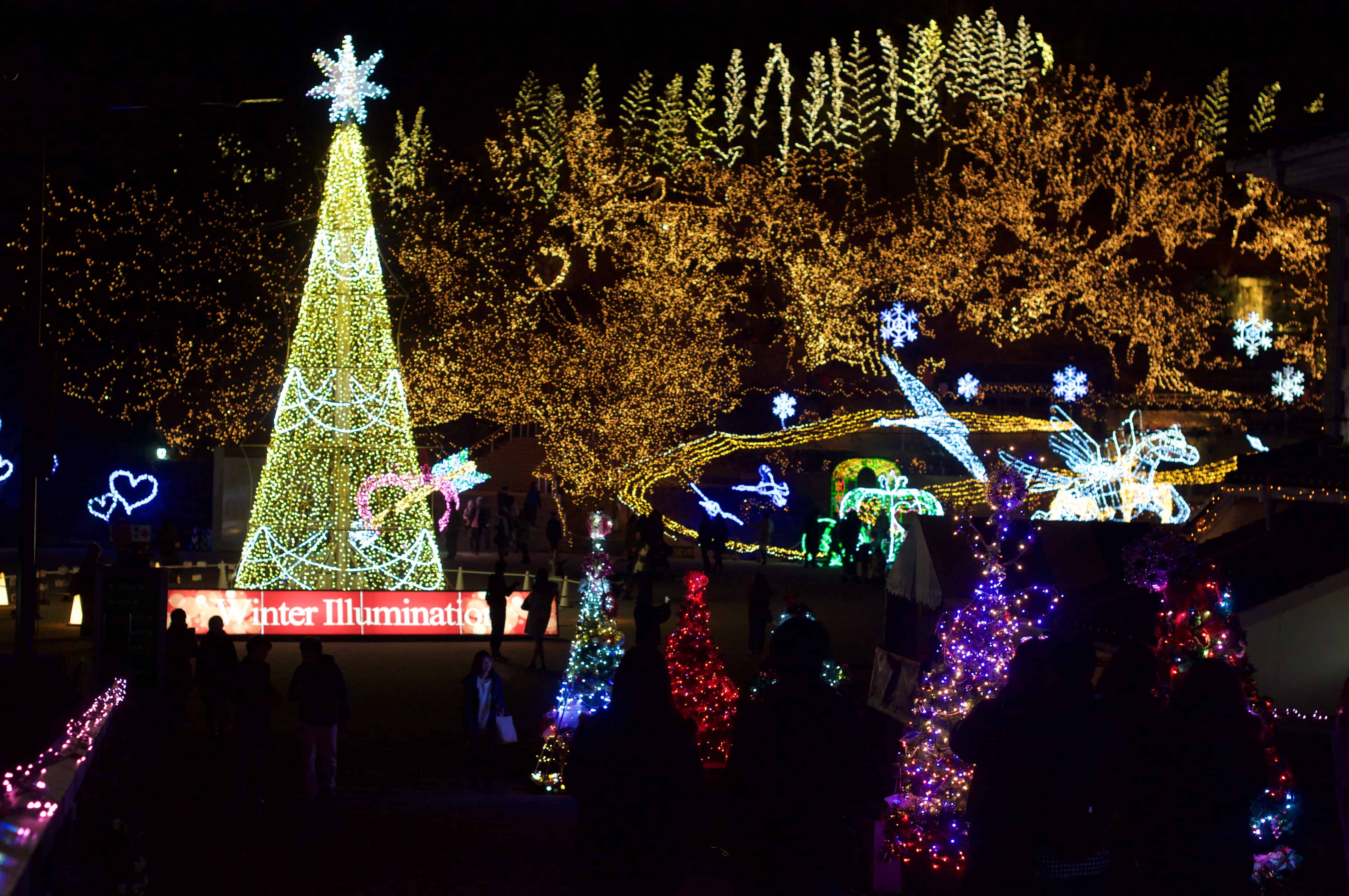 Winter Illuminations at Bihoku Hillside Park - 1 of 35