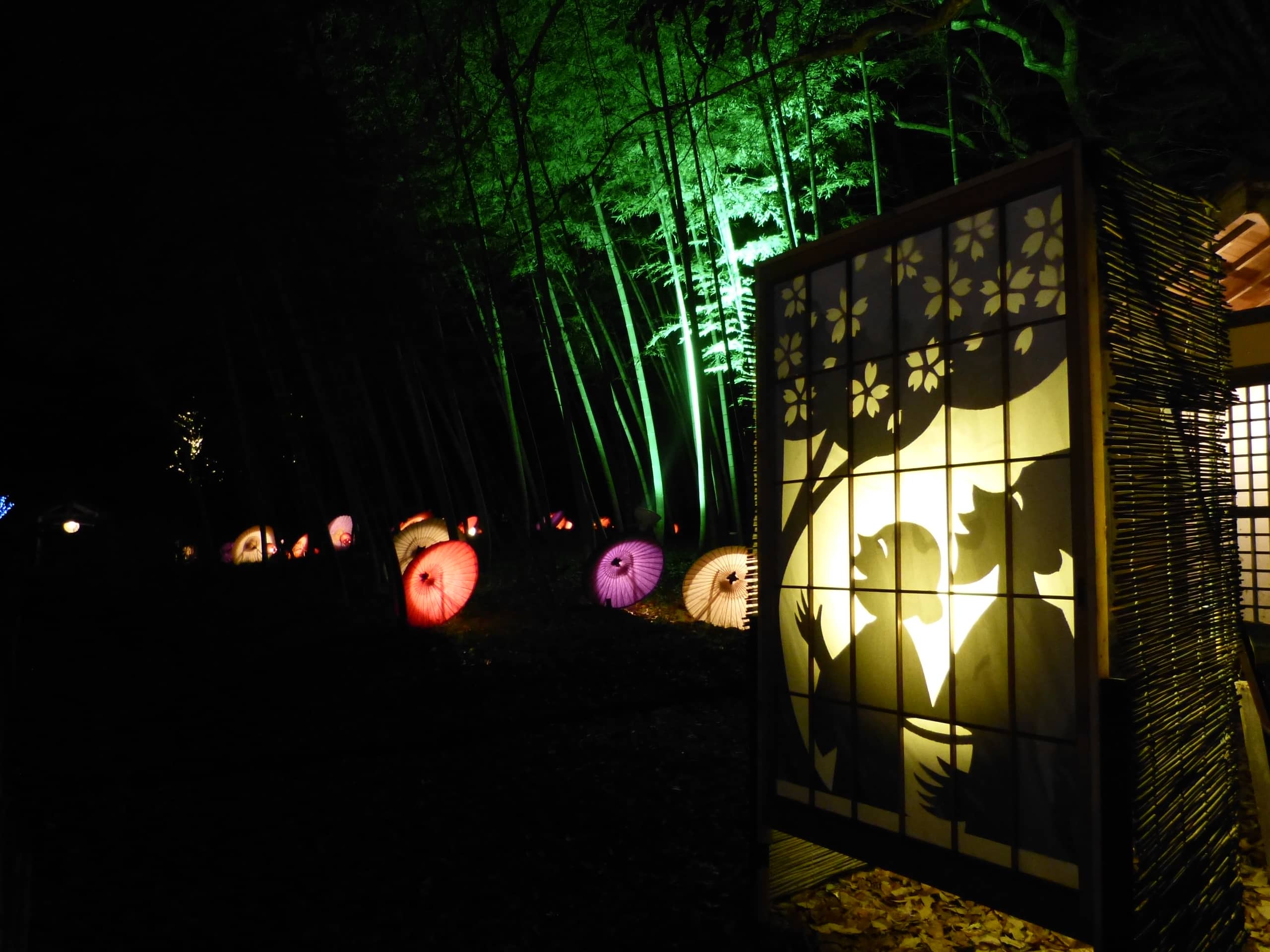 Winter Illuminations at Bihoku Hillside Park - 30 of 35