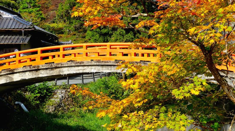 autumn leaves catch the sunlight at sekiun bridge taishaku-kyo hiroshima