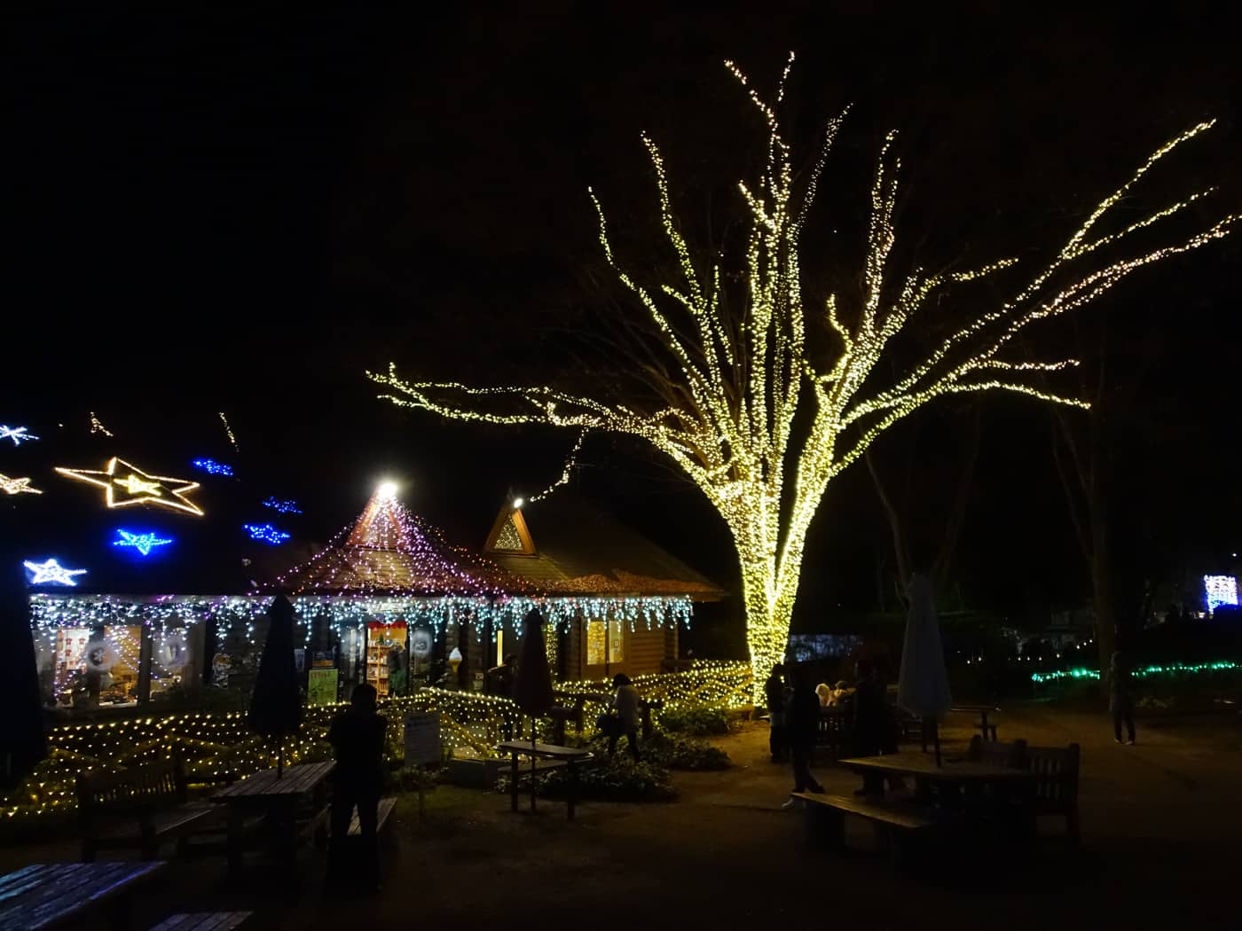 Christmas Illuminations at Hiroshima Botanical Gardens Get Hiroshima
