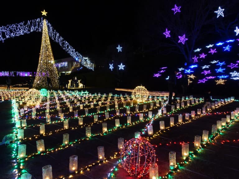 Christmas Illuminations at Hiroshima Botanical Gardens – Get Hiroshima