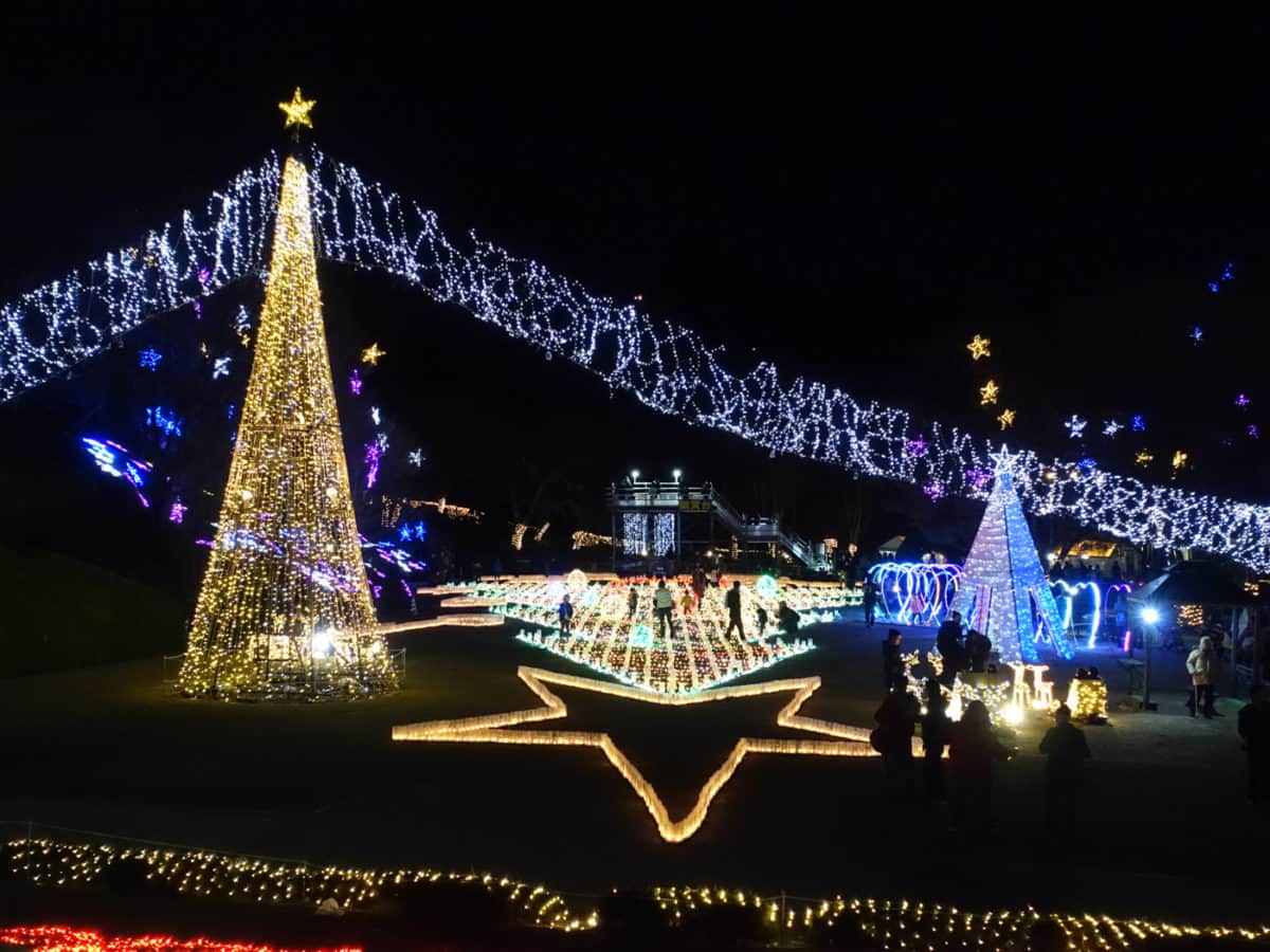 Christmas Illuminations at Hiroshima Botanical Gardens Get Hiroshima