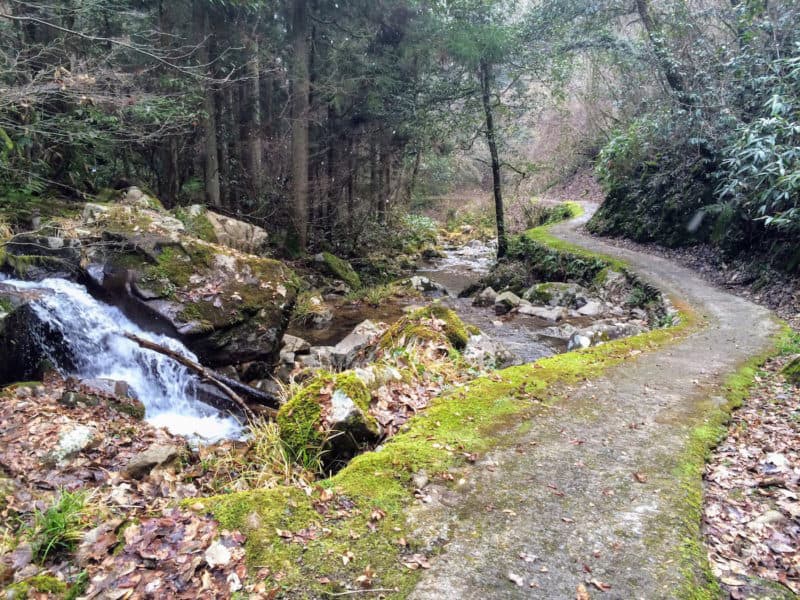 The forest path to Josei-daki FallsThe forest path to Josei-daki Falls in Miyoshi, Hiroshima