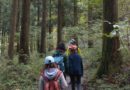 No Ordinary Walk in the Forest:  A Visit to Iinan-cho, Shimane Prefecture
