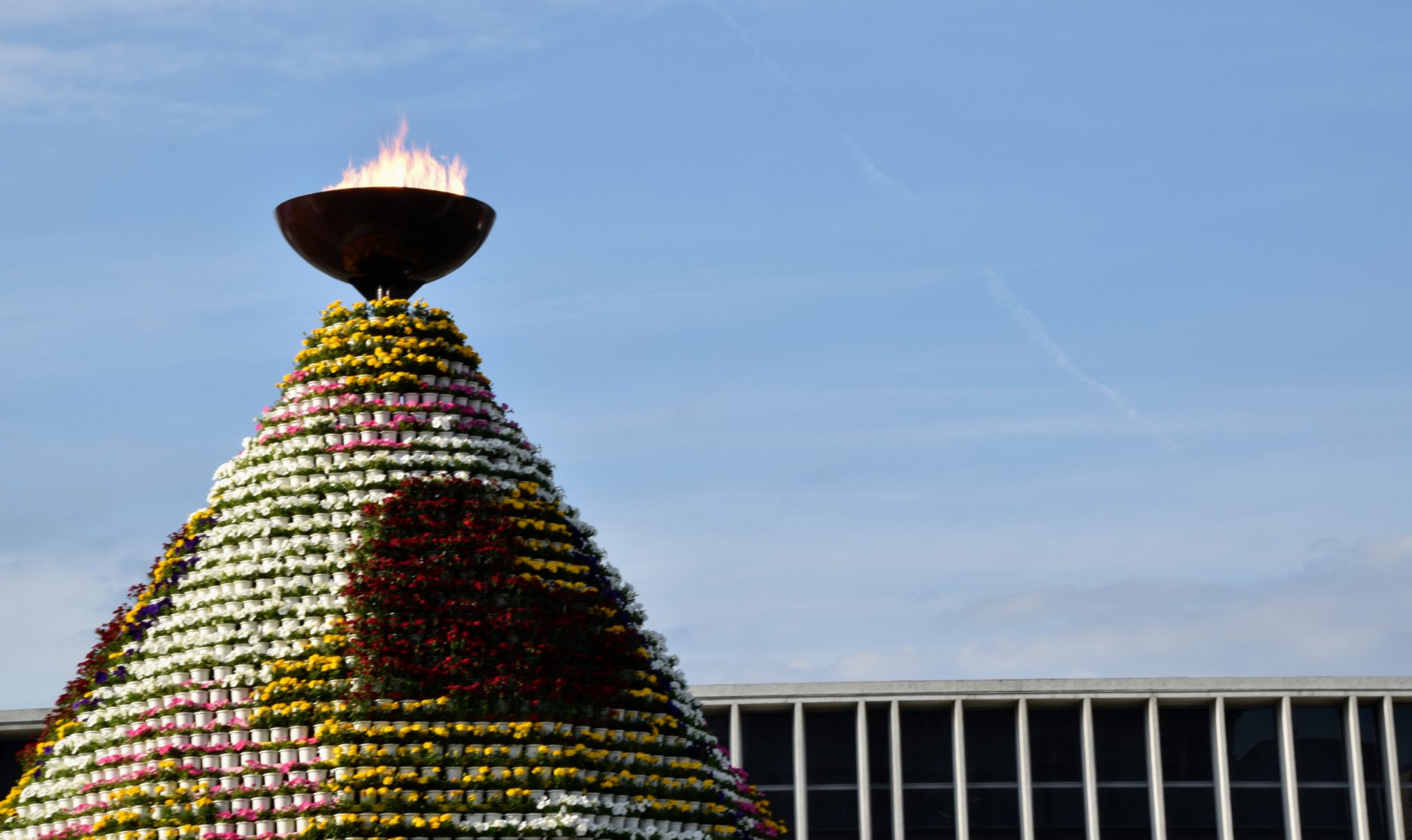 Hiroshima Flower Festival To be Held, But Not As We Know It | Get Hiroshima