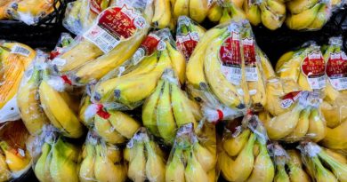 Hiroshima is bananas about bananas