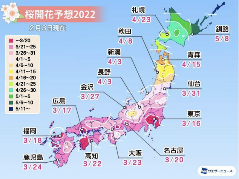 Japan Weather News cherry blossom forecast 2022 (February 3)