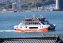 Miyajima ferry runs aground in front of great shrine gate