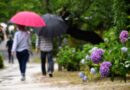 Hiroshima rainy season on hold, for now