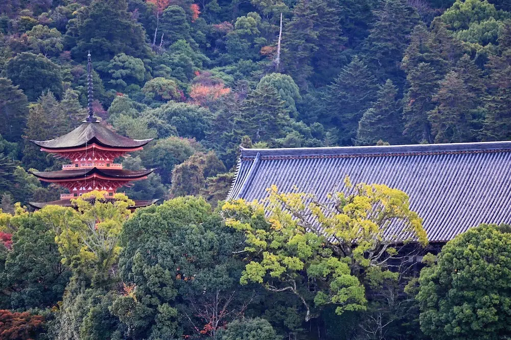 Major restoration work on Miyajima pagoda to begin January 20