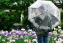 Rainy season survival guide