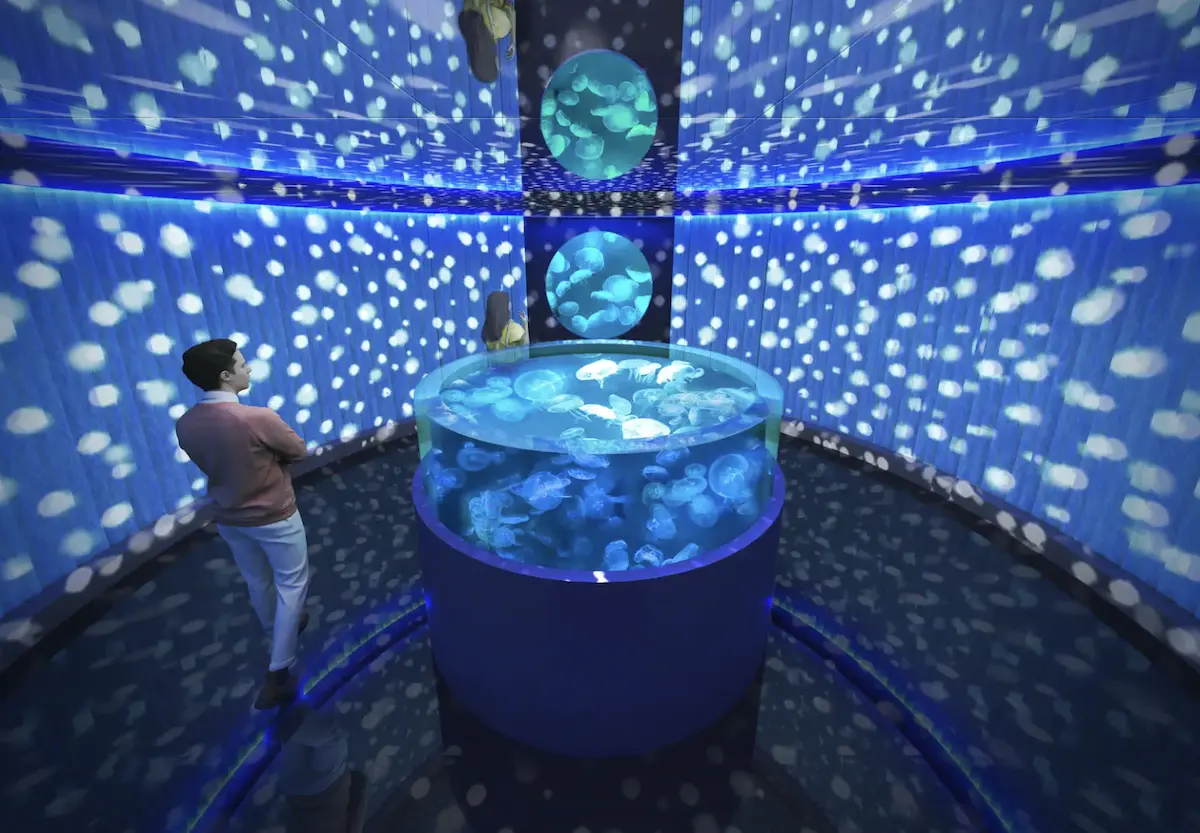 Hiroshima Motomachi Aquarium constructed image